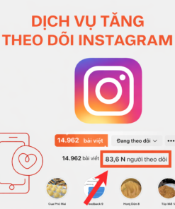 Tăng Follow Instagram Số Lượng Lớn – Giao Nhanh, Giá Tốt