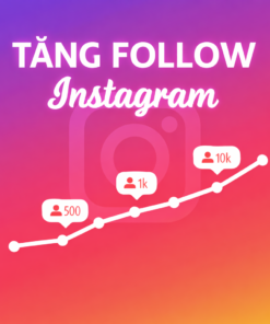 Tăng Follow Instagram Chất Lượng Cao – Hạn Chế Tụt