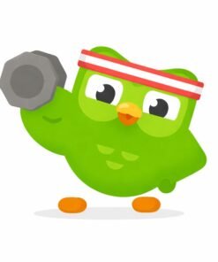 Duolingo Plus – Giải Pháp Học Ngoại Ngữ Thông Minh Cho Mọi Đối Tượng