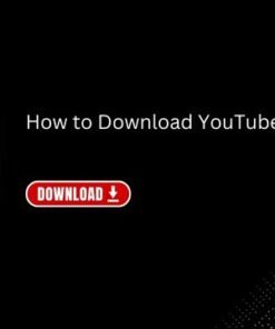 Dịch Vụ Tăng Subscribe YouTube | Xây Dựng Uy Tín Kênh