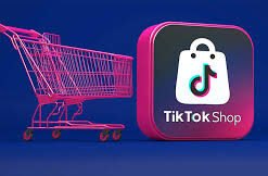 TikTok Việt 1K FL Có Giỏ Hàng Live Studio Bán Hàng Cá Nhân